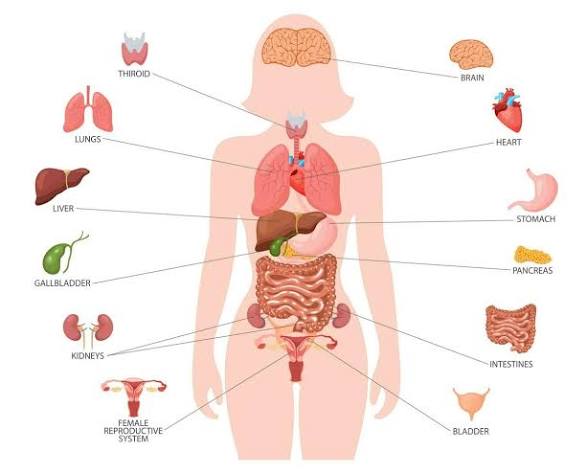 Pathology Best Course In Dhaka 3 image 2