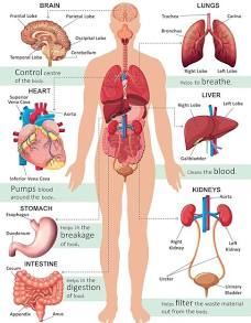 Pathology Best Course In Dhaka 4 image 4