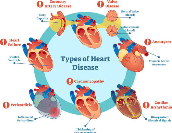 Diploma in Medicine and Diploma in Surgery (DMDS) Course in Dhaka 3 image