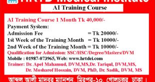AI Training Course