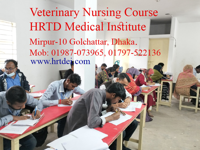 Veterinary Nursing Course 