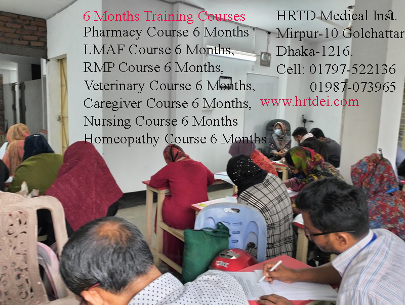 6 Month Training Courses