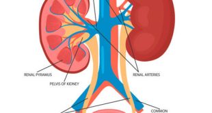 Urology