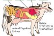 Veterinary Caregiving Courses in Bangladesh