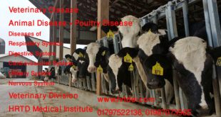 Advanced Veterinary Lab Technician Course