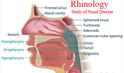 Rhinology/ নাকের রোগ বিদ্যা 2 Rhinology