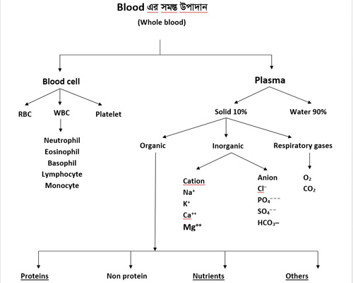 Whole Blood