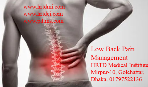 Low Back Pain Management 1 Low Back Pain Treatment